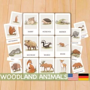 Woodland animals flash cards, Printable Montessori materials, Homeschool toddler flashcards English German