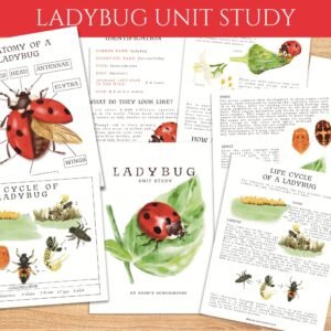 Printable Ladybug Unit Study | Homeschool