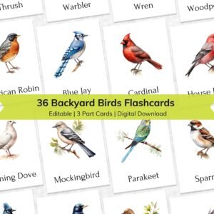 Backyard Bird Flashcards: Montessori 3-Part Cards Learning Materials (Digital Download)