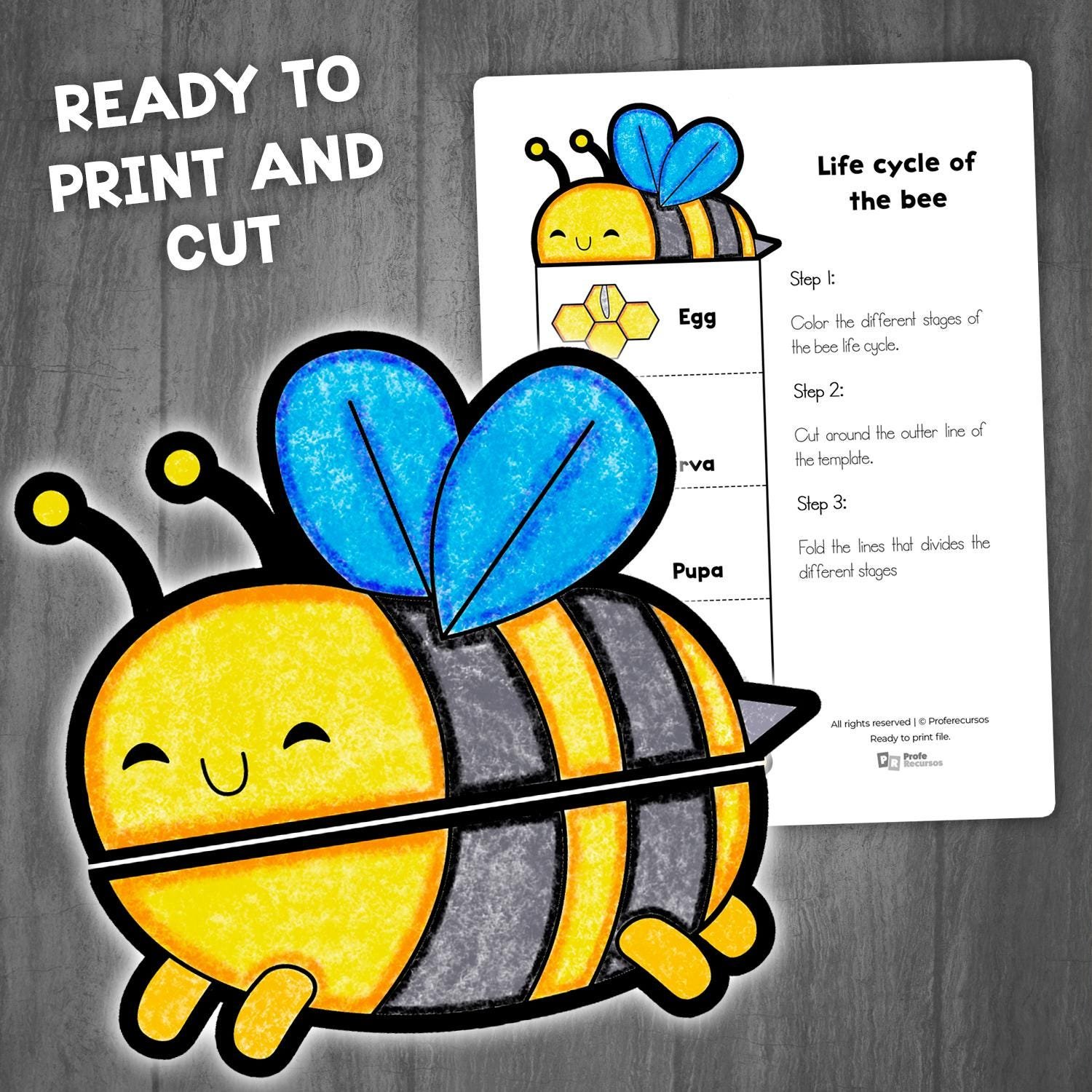 Bee Life Cycle Learning Activity for Kids | Foldable Craft Activity | Life Cycle of a Bee | Insects Life Cycles | Bee Paper Craft Template - Image 4