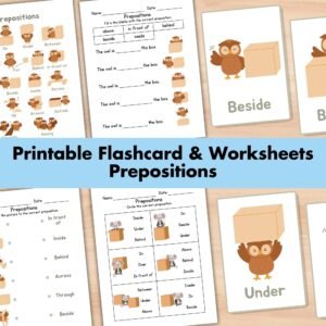 Preposition Flashcard Worksheet, Parts Of Speech, Positional Words Poster, Speech Therapy, Classroom Decor, Montessori Language Grammar