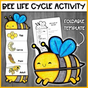 Bee Life Cycle Learning Activity for Kids | Foldable Craft Activity | Life Cycle of a Bee | Insects Life Cycles | Bee Paper Craft Template