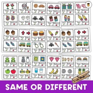 Same or Different | Functions Task Cards | Which One | Speech Therapy | ABA | Category | Autism | Flashcards for Kids | Multiple Choice