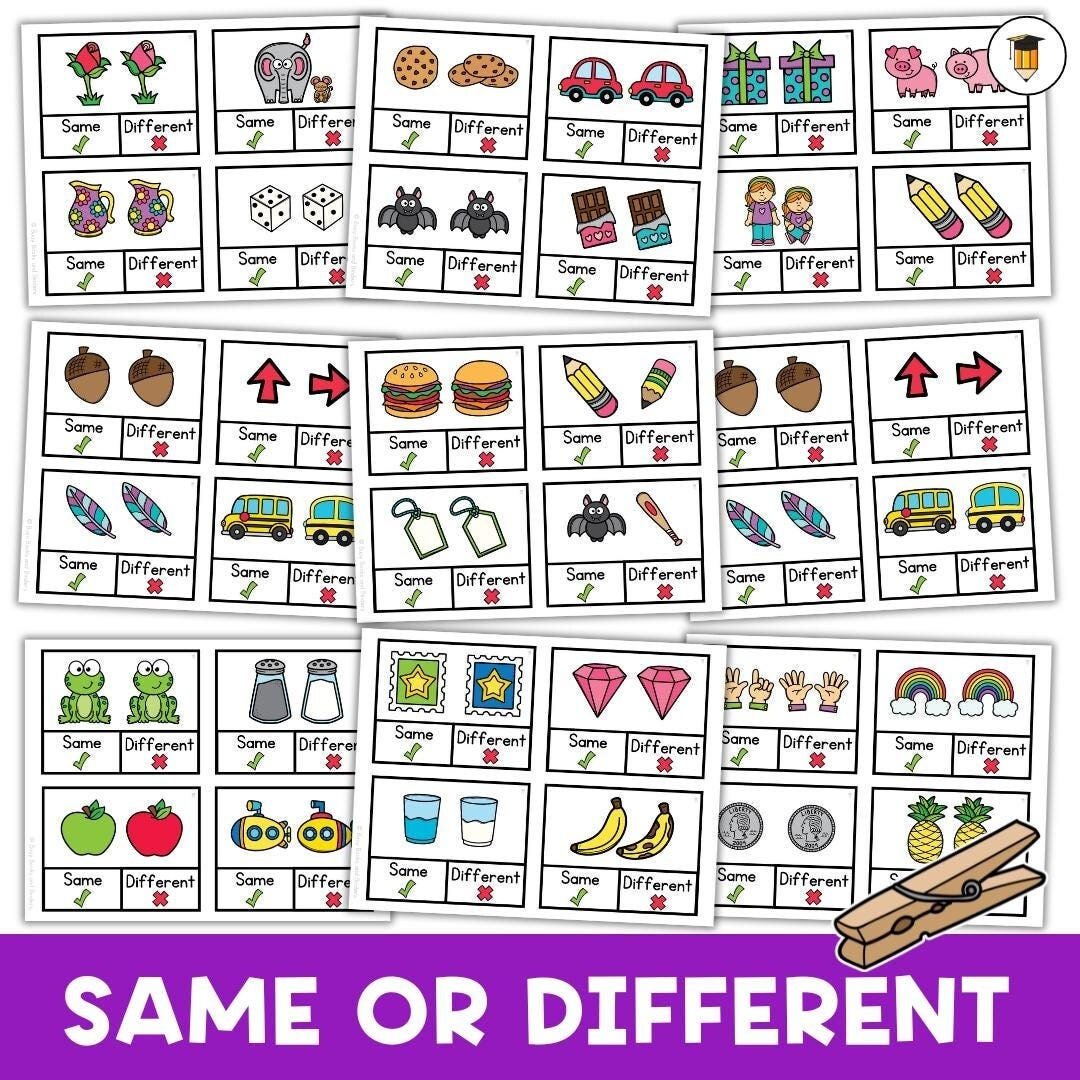 Same or Different | Functions Task Cards | Which One | Speech Therapy | ABA | Category | Autism | Flashcards for Kids | Multiple Choice