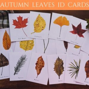 Watercolor Autumn Leaves Flashcards: Homeschool Printable (PDF)