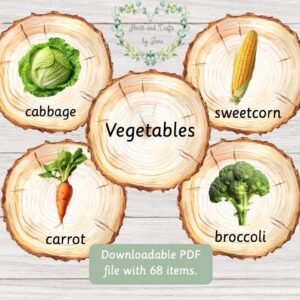 Vegetables Flash Cards: Montessori Learning (PDF Flashcards)