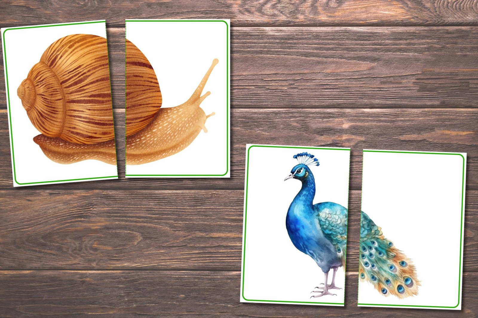 Spring Matching Toddler Activity, Spring Matching, Montessori, Homeschool Resource, Flowers, Spring Animals, Spring Matching Game - Image 4