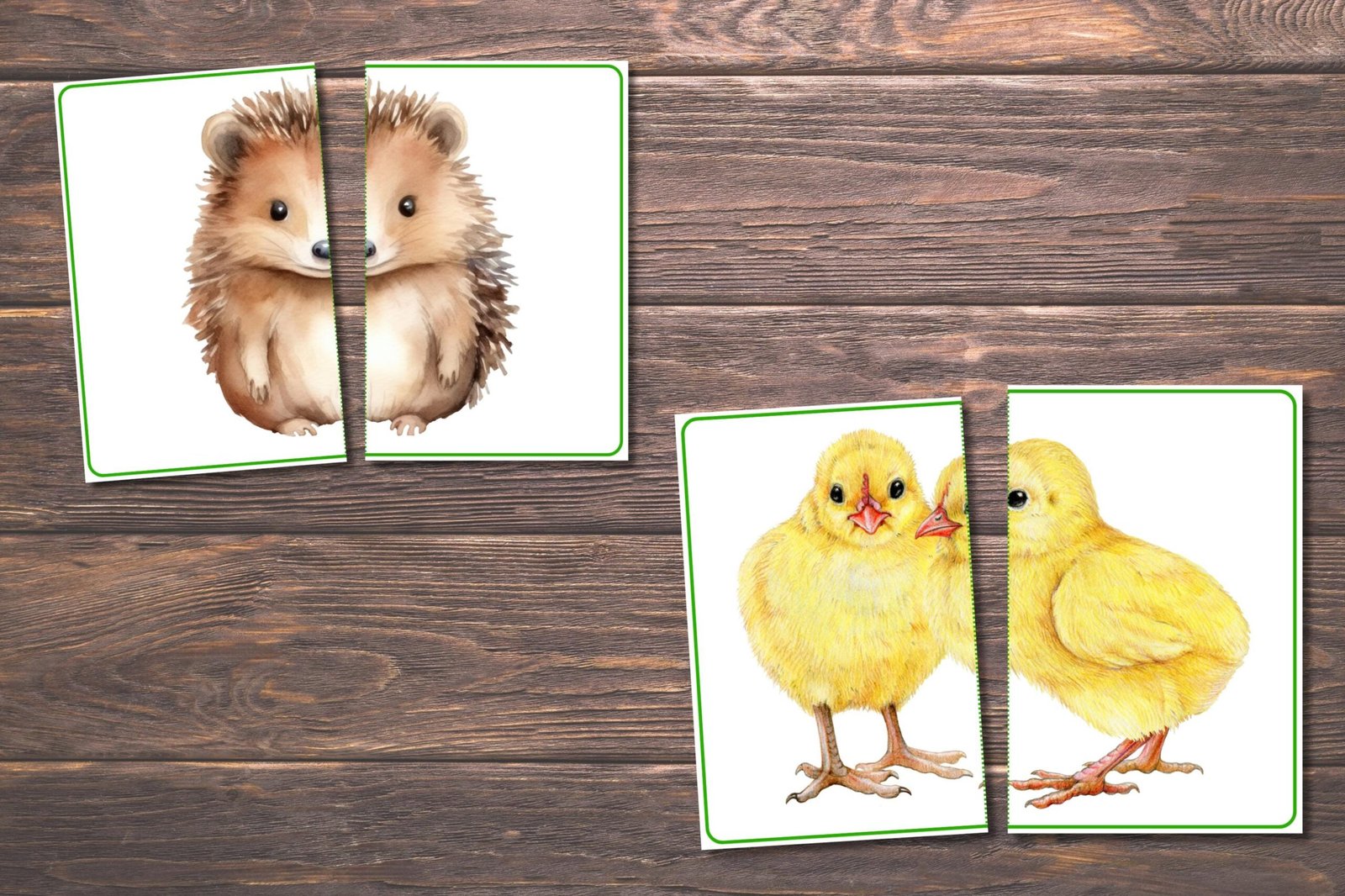 Spring Matching Toddler Activity, Spring Matching, Montessori, Homeschool Resource, Flowers, Spring Animals, Spring Matching Game - Image 3