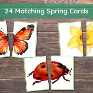 Spring Matching Toddler Activity, Spring Matching, Montessori, Homeschool Resource, Flowers, Spring Animals, Spring Matching Game