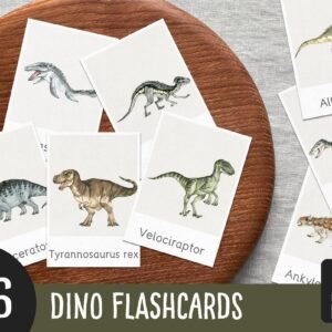 Editable Dinosaur Flashcards: Montessori Learning Cards (PDF)