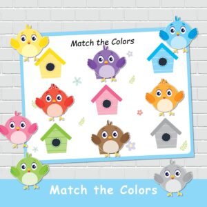 Birds Color Matching Activity, Color Printables, Toddler Busy Book (Digital Download)