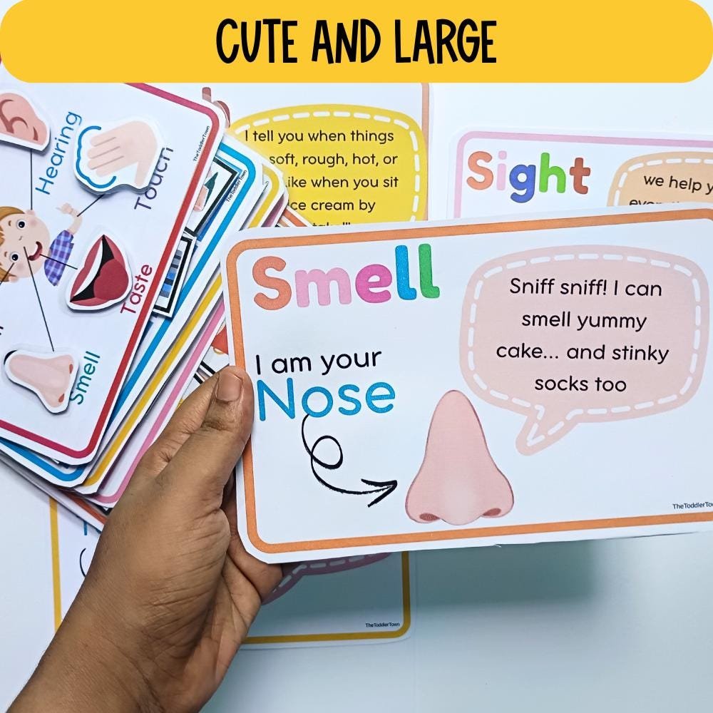 All About 5 senses Preschool Printable, Preschool Curriculum,preschool sense organs activity, 5 senses sorting, flashcards and checklists - Image 5