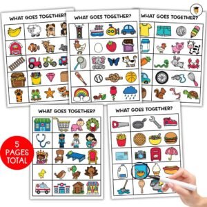 What Goes Together | WH Questions | Functions Task Cards | Which One | Speech Therapy | ABA | Category | Autism | for Kids | Multiple Choice