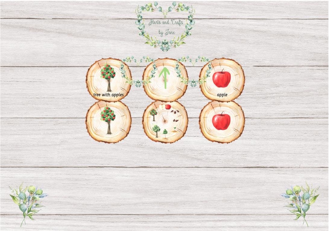 Apple Life Cycle Flash Cards: Nature Learning (PDF Download) - Image 3