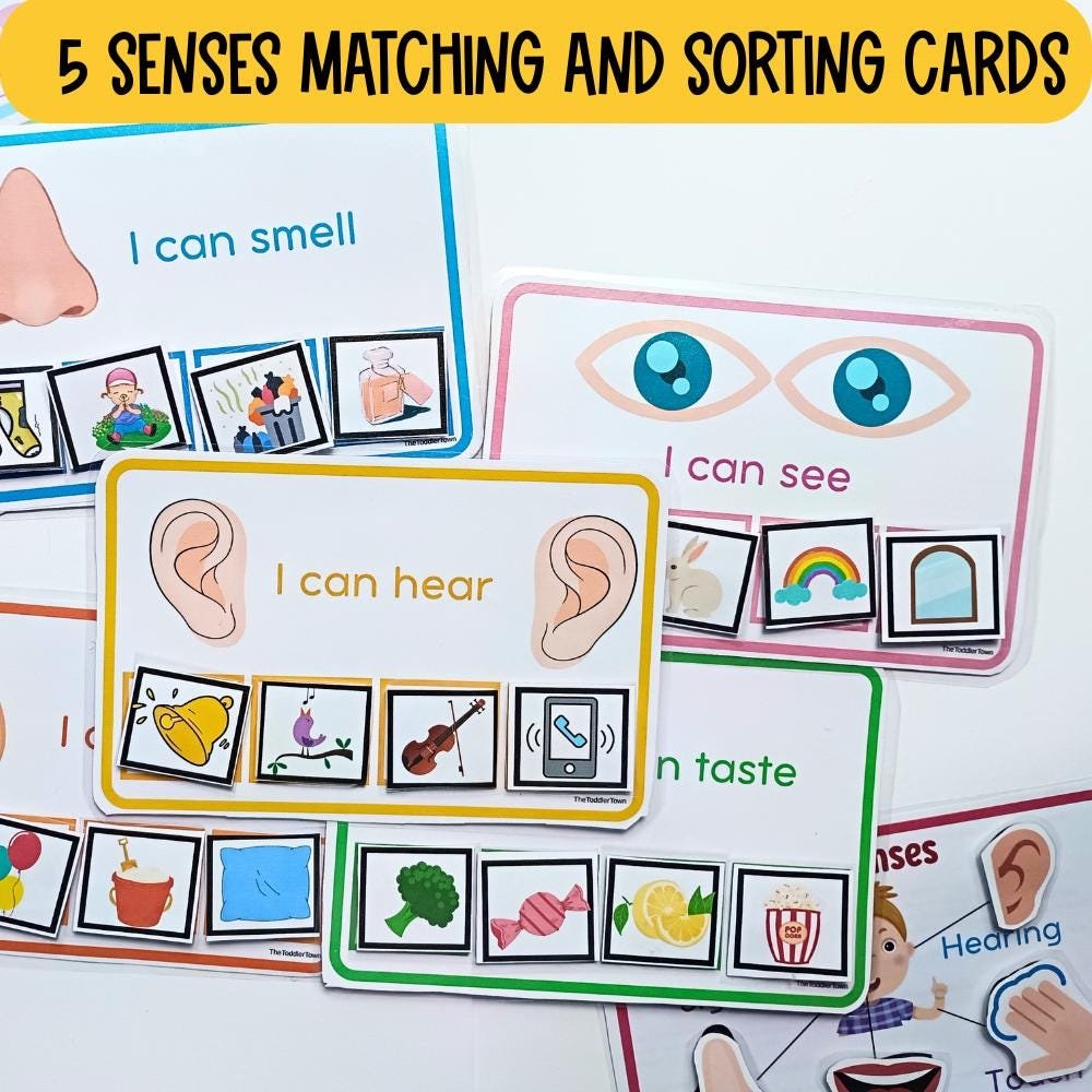 All About 5 senses Preschool Printable, Preschool Curriculum,preschool sense organs activity, 5 senses sorting, flashcards and checklists - Image 2