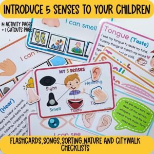 All About 5 senses Preschool Printable, Preschool Curriculum,preschool sense organs activity, 5 senses sorting, flashcards and checklists