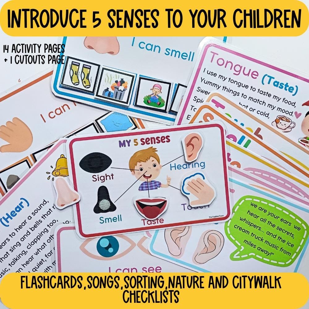 All About 5 senses Preschool Printable, Preschool Curriculum,preschool sense organs activity, 5 senses sorting, flashcards and checklists