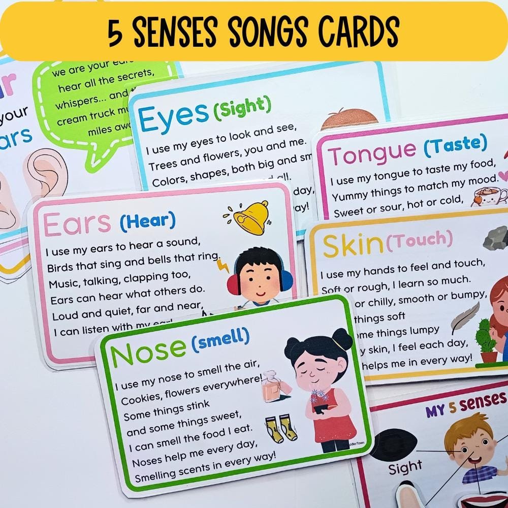 All About 5 senses Preschool Printable, Preschool Curriculum,preschool sense organs activity, 5 senses sorting, flashcards and checklists - Image 3