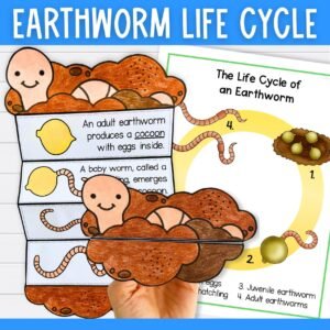 Earthworm life cycle sequence and fold science craft activity | 11x8.5 inch and A4 | digital download printable PDF | Life cycle of a worm