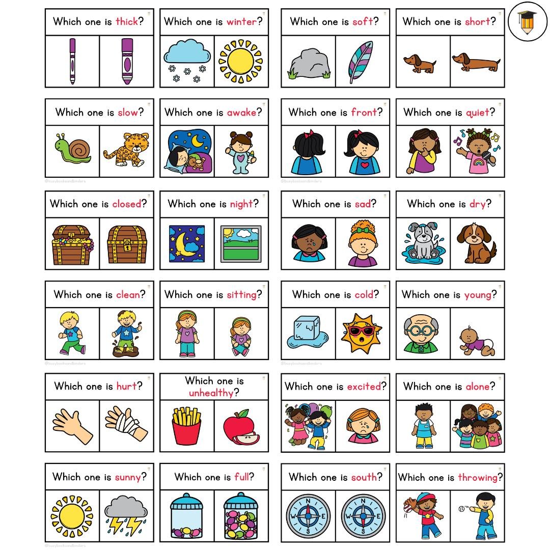 24 WH Questions | Functions Task Cards | Which One | Speech Therapy | ABA | Category | Autism | Flashcards for Kids | Multiple Choice