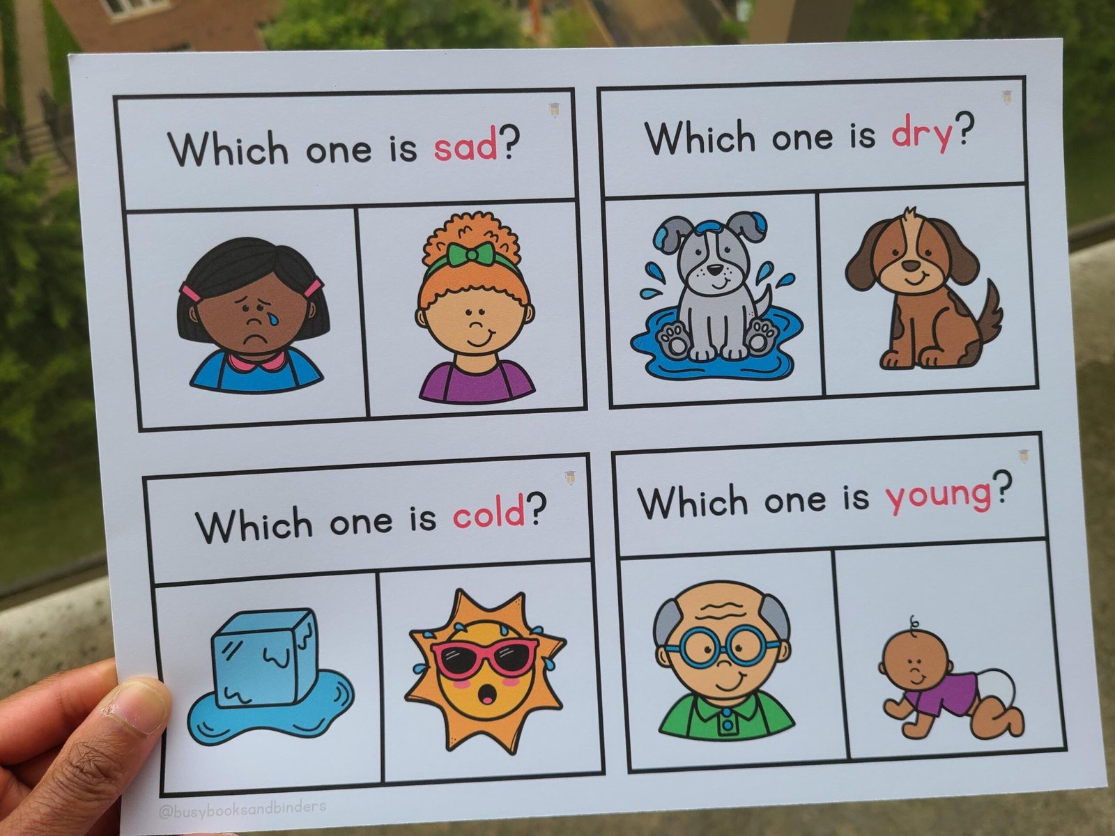 24 WH Questions | Functions Task Cards | Which One | Speech Therapy | ABA | Category | Autism | Flashcards for Kids | Multiple Choice - Image 3