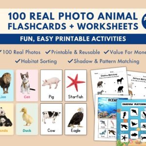 100 Real Photo Animals Flashcard for Kids, Montessori Toddler Activity Printable, Sorting Matching Worksheets, Preschool Learning Set Bundle