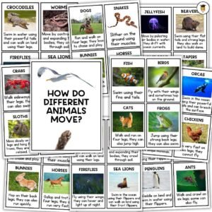 Animal Locomotion | How Animals Move | Growth and Changes in Animals | Animal Flashcards | Science Flashcards | STEM | Animal Habitats
