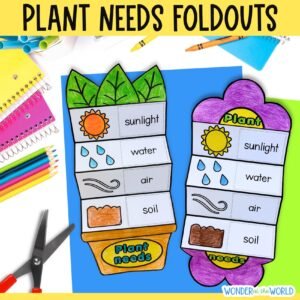 What a plant needs to grow science craft for Kindergarten first grade or KS1 - fun alternative to a worksheet for kids digital download PDF
