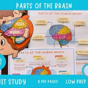 Brain Anatomy Printable: Kids Homeschool Learning Pack (PDF Download