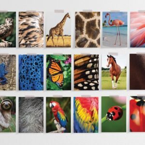 Animal Pattern Matching Cards: Montessori Nature Study Game (PDF Download)