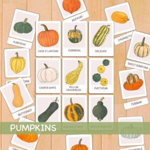 Pumpkin & Squash Flash Cards Toddler Watercolor Educational Flashcards Autumn Preschool Printable Activities Montessori 3 Part Cards