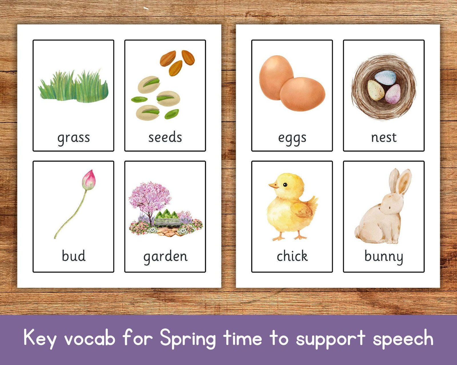 Spring Flash Cards, Easter Flashcards, Educational Printable, Toddler Flashcards, Pre-School Flashcards, Spring Keywords Seasons Vocab - Image 3