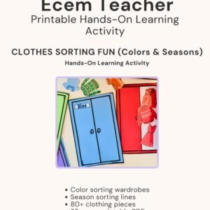 Color and Season Sorting Activity Fun Set with Clothes