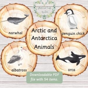 Arctic & Antarctica Animals Flashcards: Montessori Winter Busy Book (PDF Flashcards) Digital Download Winter Flashcards