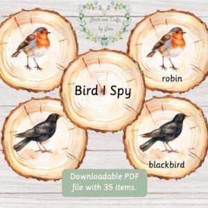 UK Garden Birds Flashcards: Montessori I Spy Game (PDF Download)
