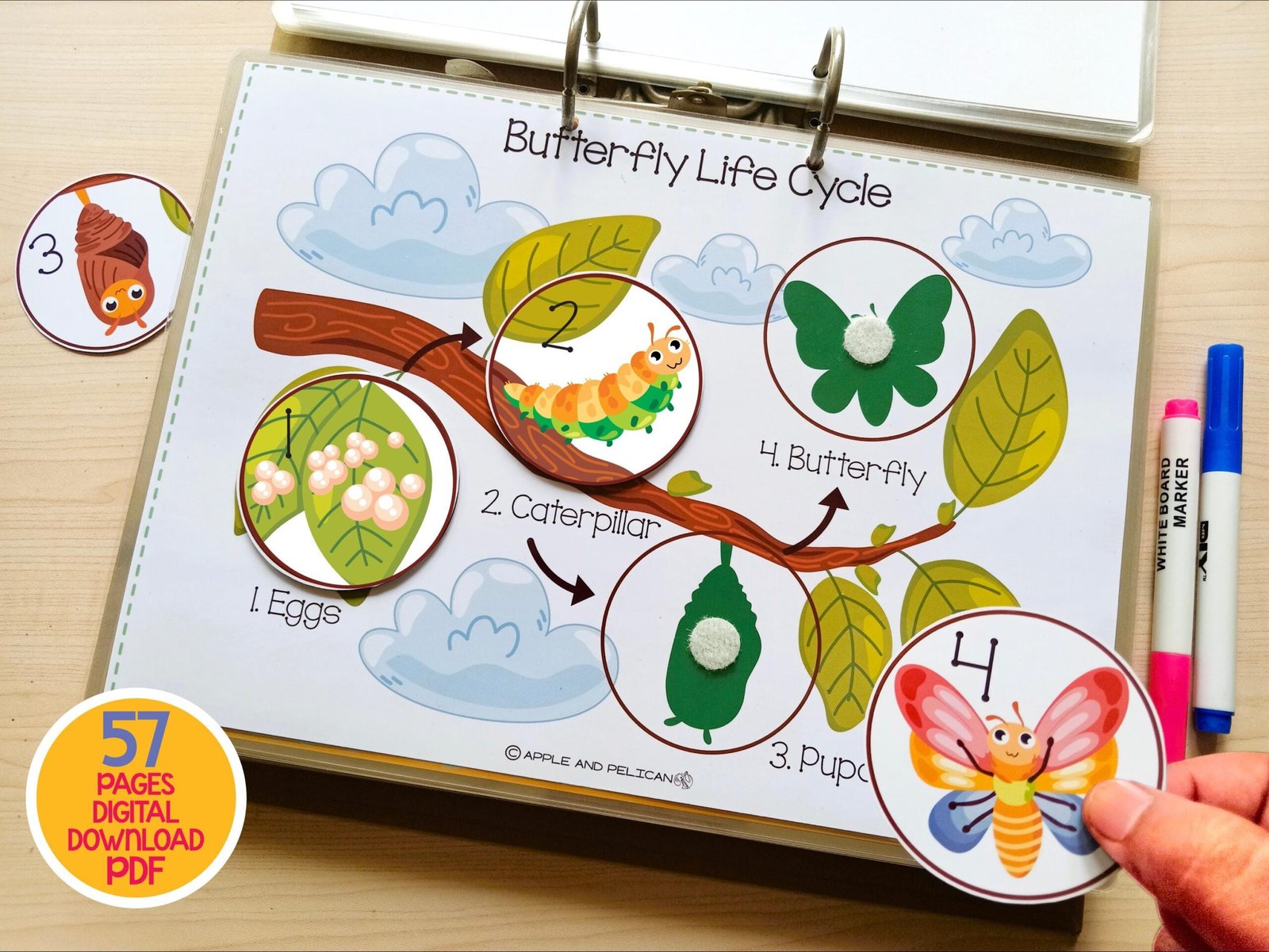 Spring Busy Book Printable, Preschool Learning Binder, Toddler Quiet Book, Homeschool Preschool Spring Activity Book - Image 4