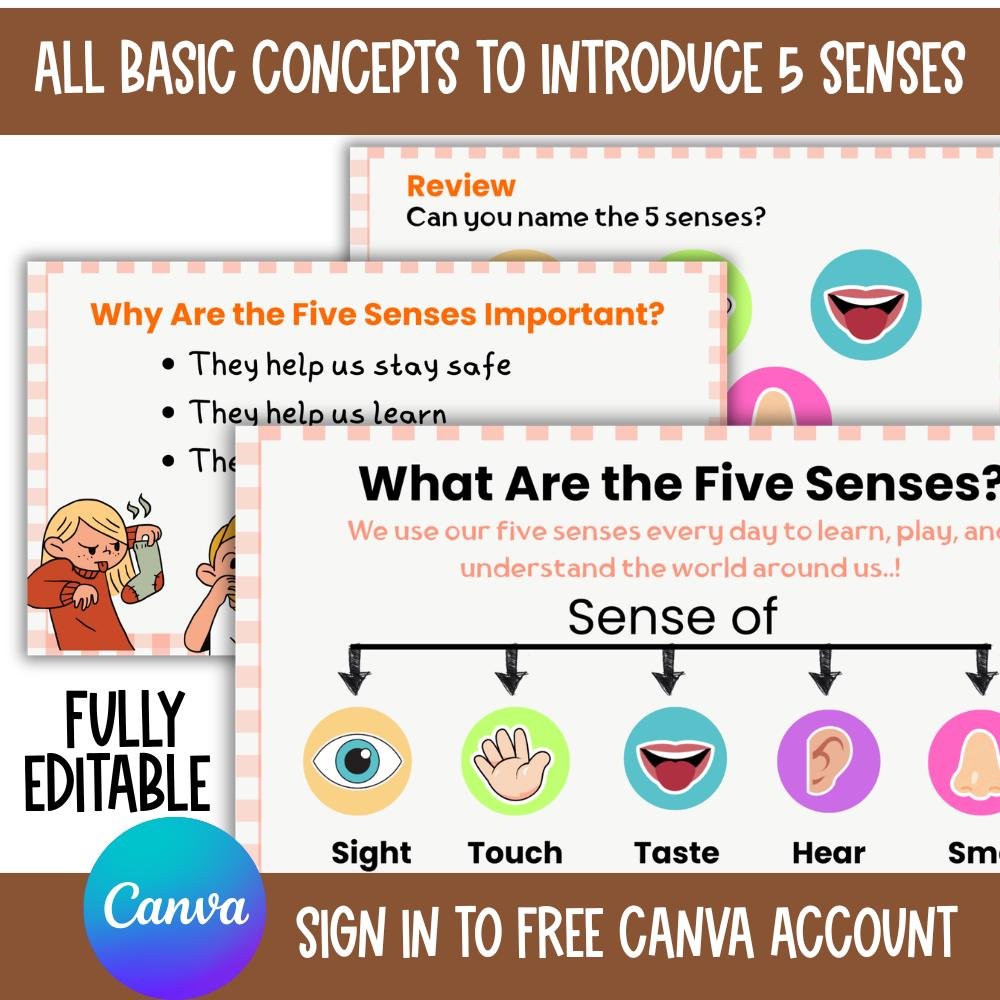 5 Senses Presentation Slides Canva Template, Five Senses Activities, Classroom Slides for Preschool science lesson - Image 2
