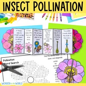 Stages of insect pollination sequence and fold science activity cut & paste flower craft matching activity word search PDF digital download