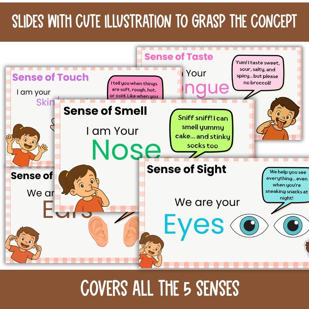5 Senses Presentation Slides Canva Template, Five Senses Activities, Classroom Slides for Preschool science lesson - Image 3